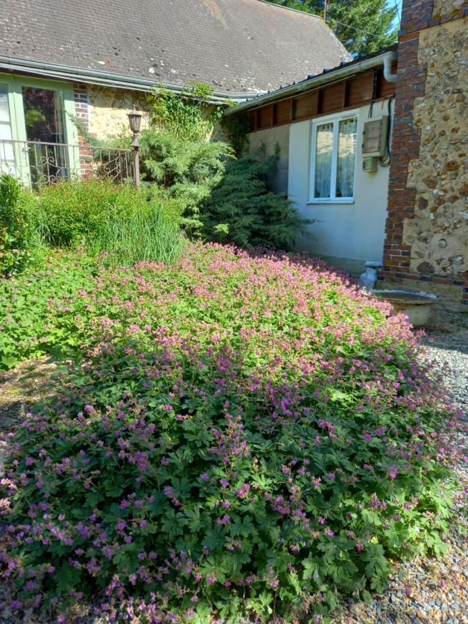 Chez Noelle Bed & Breakfast Illiers-Combray Eksteriør bilde